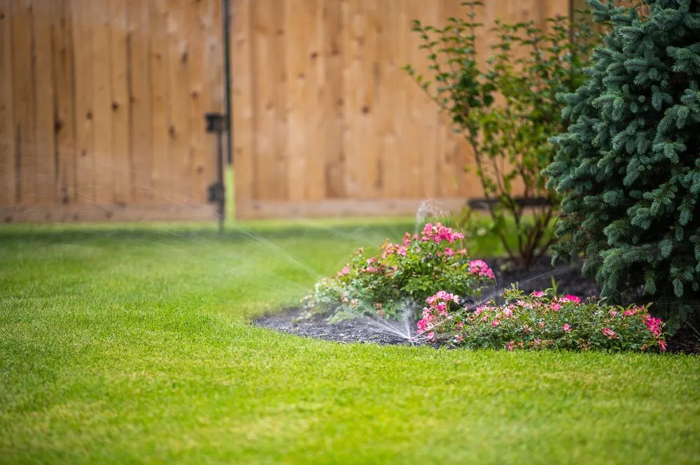 Reliable lawn care service for year-round maintenance in Hingham, MA by Pungitore Irrigation & Fertilizer