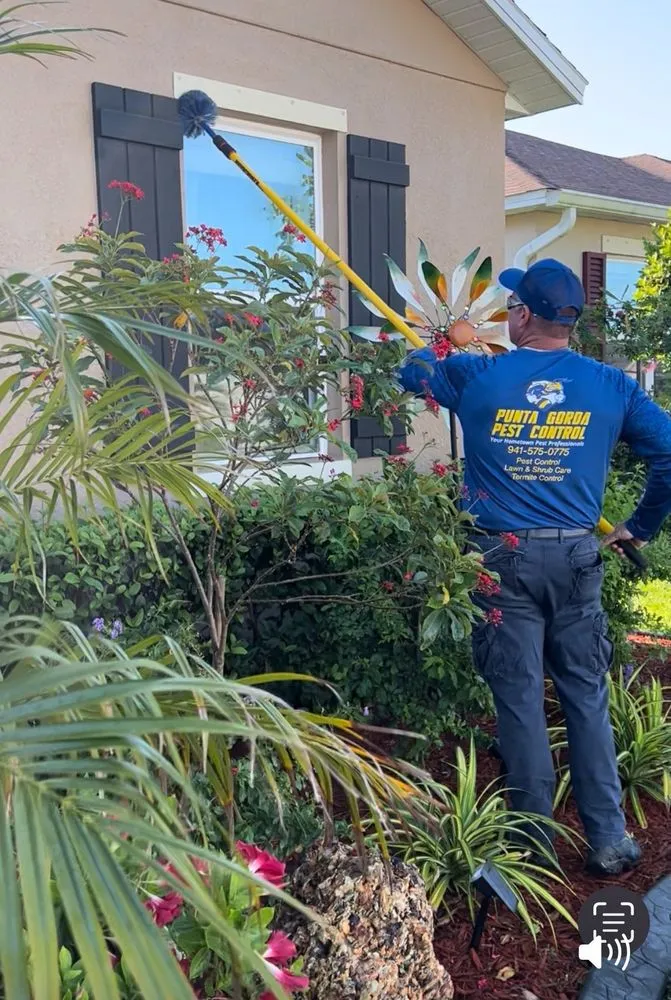 Top-rated landscape design experts serving Punta Gorda, FL - Punta Gorda Pest Control
