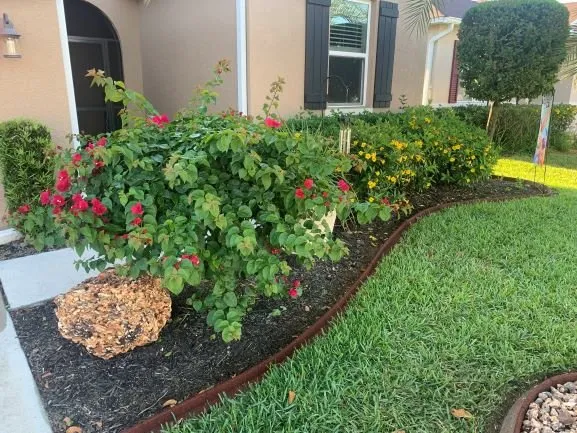 Top-rated lawn care service in Punta Gorda, FL - Punta Gorda Pest Control