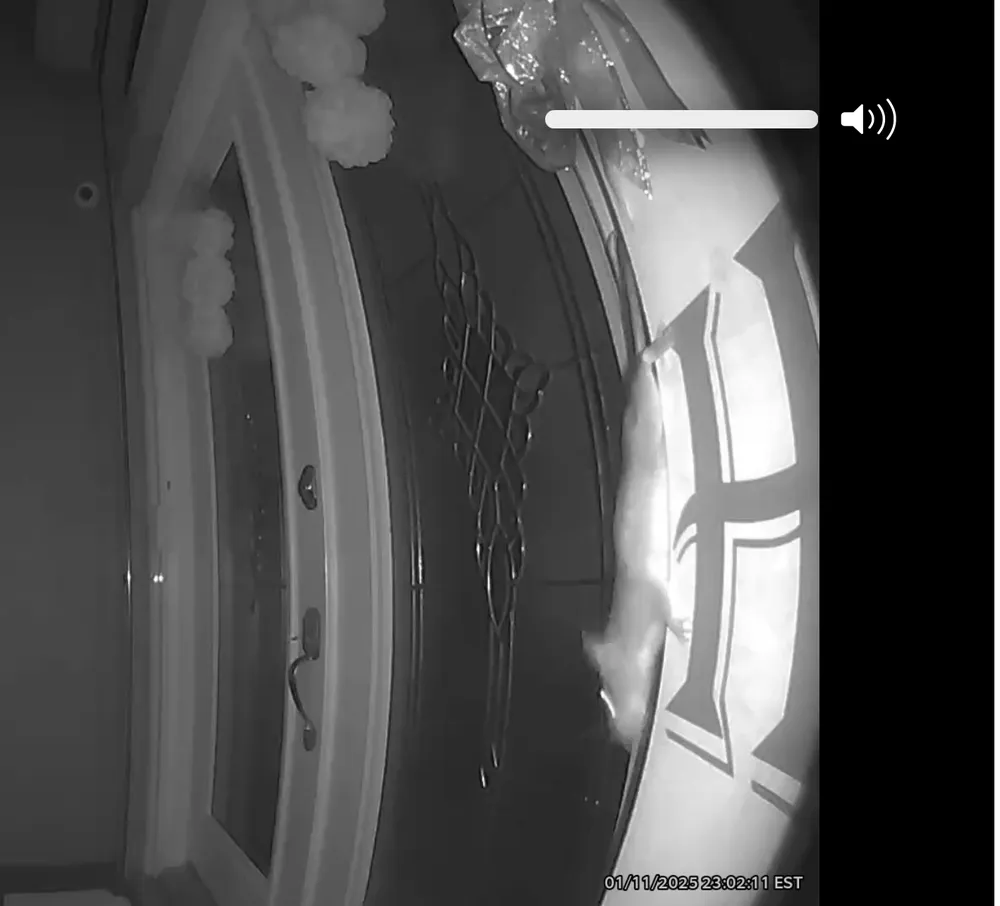 Local garden landscaping in Punta Gorda, FL - Punta Gorda Pest Control