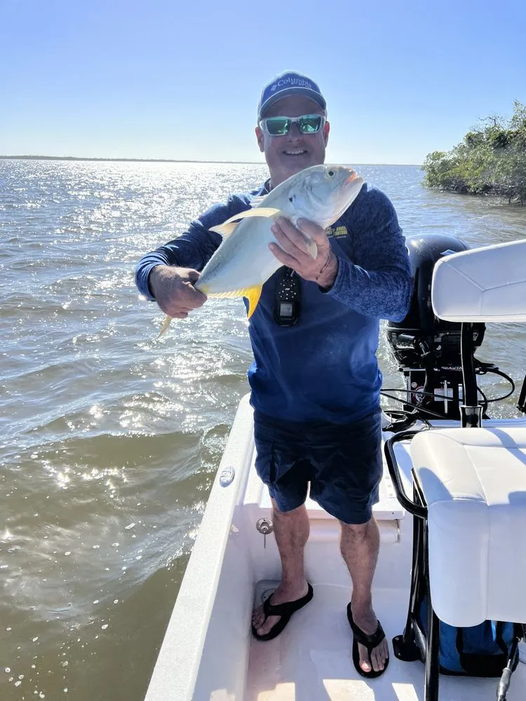 Affordable yard maintenance with custom design across Punta Gorda, FL - Punta Gorda Pest Control