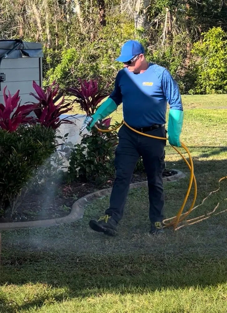 Affordable yard maintenance in Punta Gorda, FL - Punta Gorda Pest Control