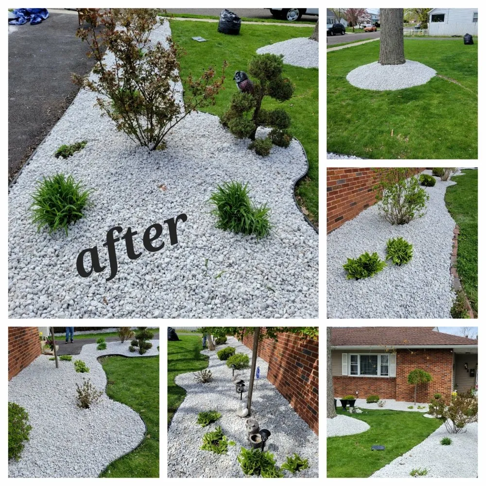 Affordable yard cleanup service near you in Plainfield, NJ by Puppy Cutting Grass Landscaping