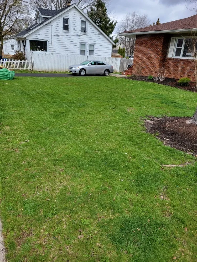Custom garden landscaping for beautiful yards across Plainfield, NJ - Puppy Cutting Grass Landscaping