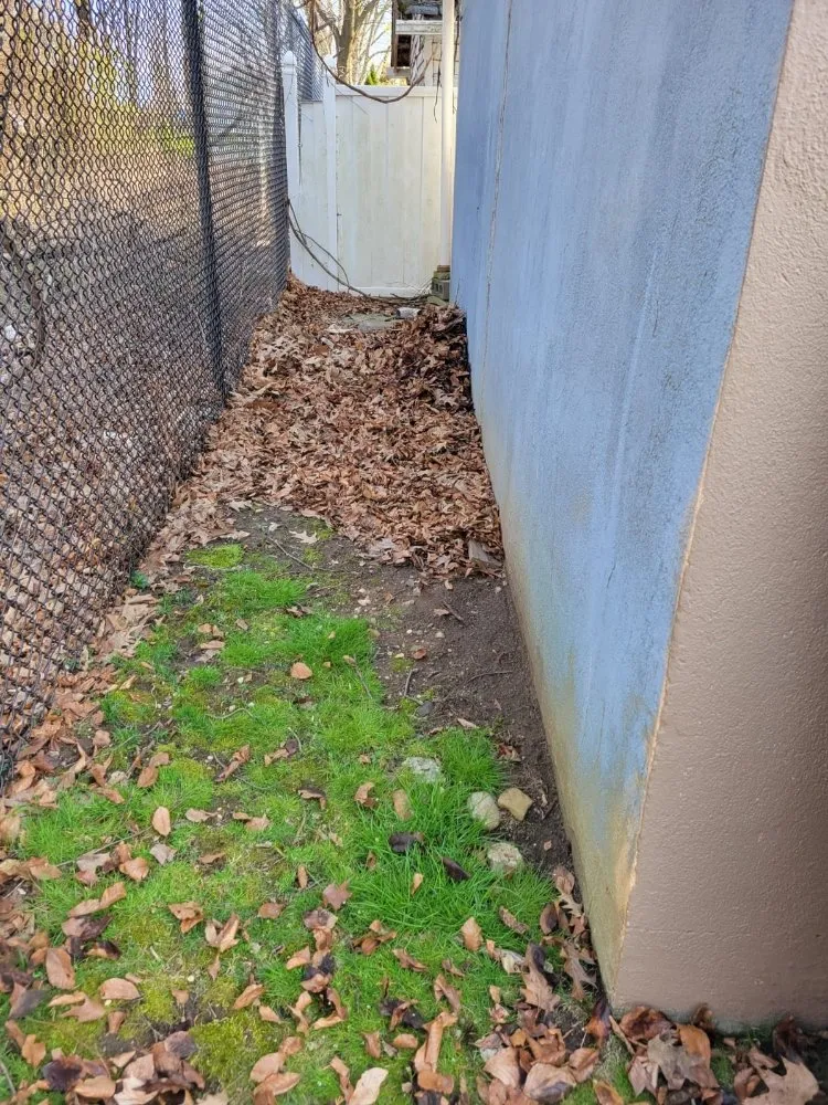 Top-rated outdoor landscaping experts serving Plainfield, NJ - Puppy Cutting Grass Landscaping