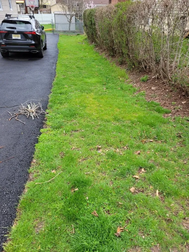 Local lawn care service in Plainfield, NJ - Puppy Cutting Grass Landscaping