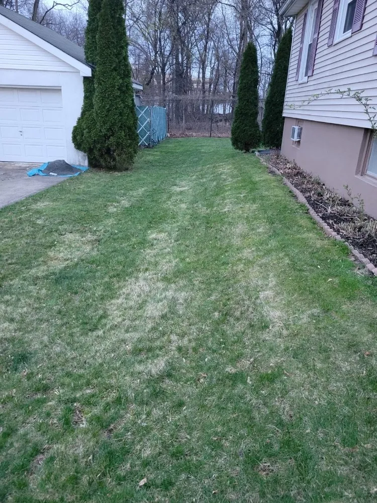 Reliable yard maintenance in Plainfield, NJ by Puppy Cutting Grass Landscaping