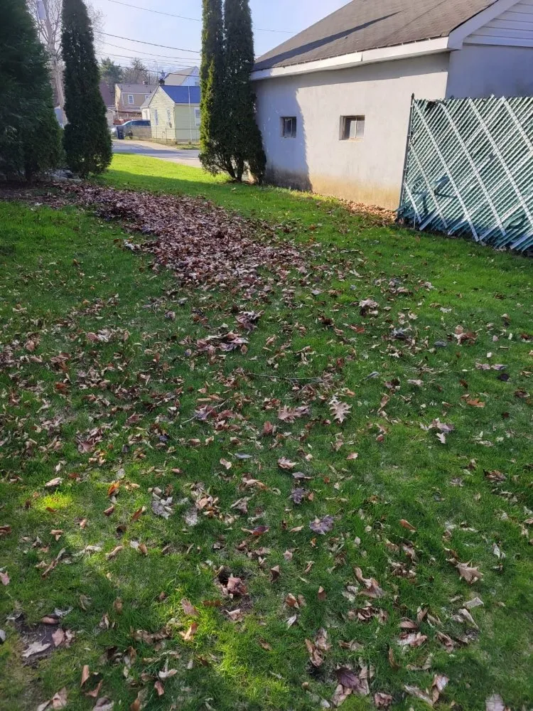 Professional garden landscaping experts serving Plainfield, NJ - Puppy Cutting Grass Landscaping