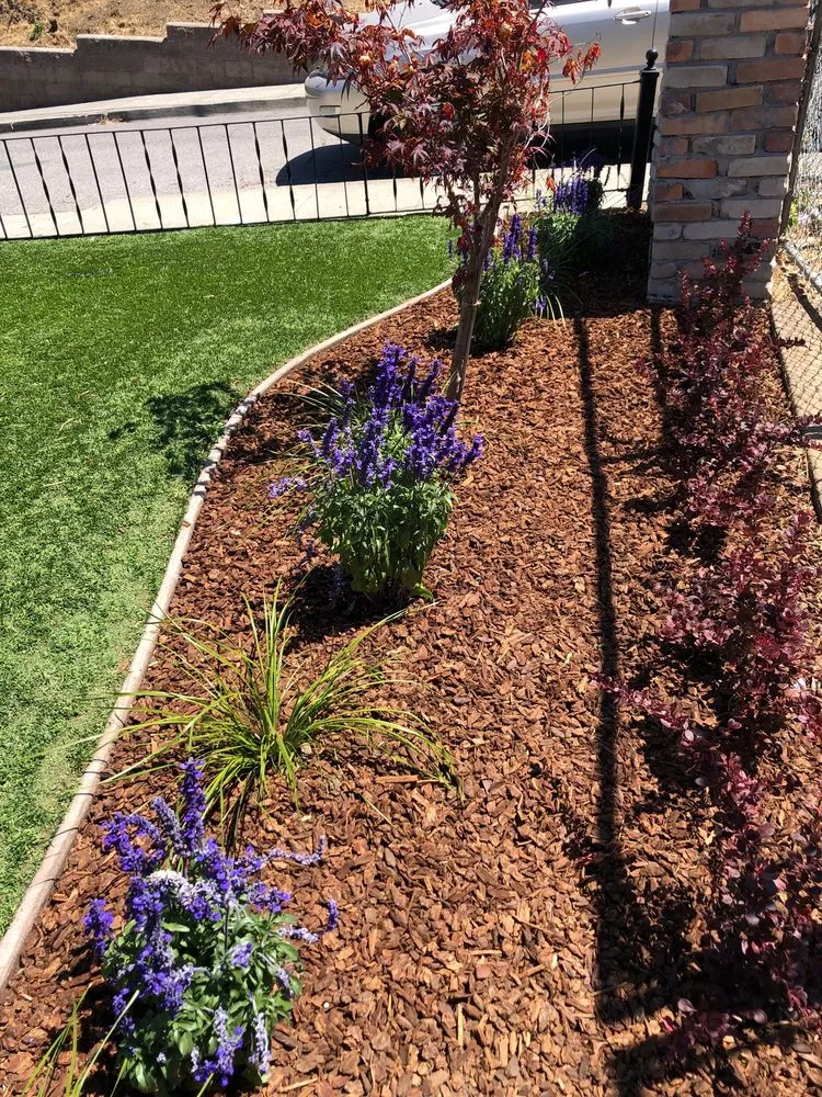 Top-rated yard maintenance in Hayward, CA by Pura Fe Landscaping