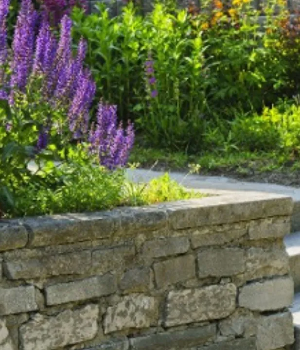 Professional outdoor landscaping in Hayward, CA - Pura Fe Landscaping