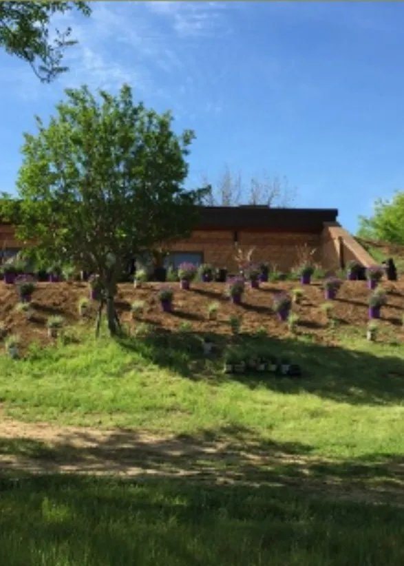 Professional garden landscaping experts serving Hayward, CA - Pura Fe Landscaping