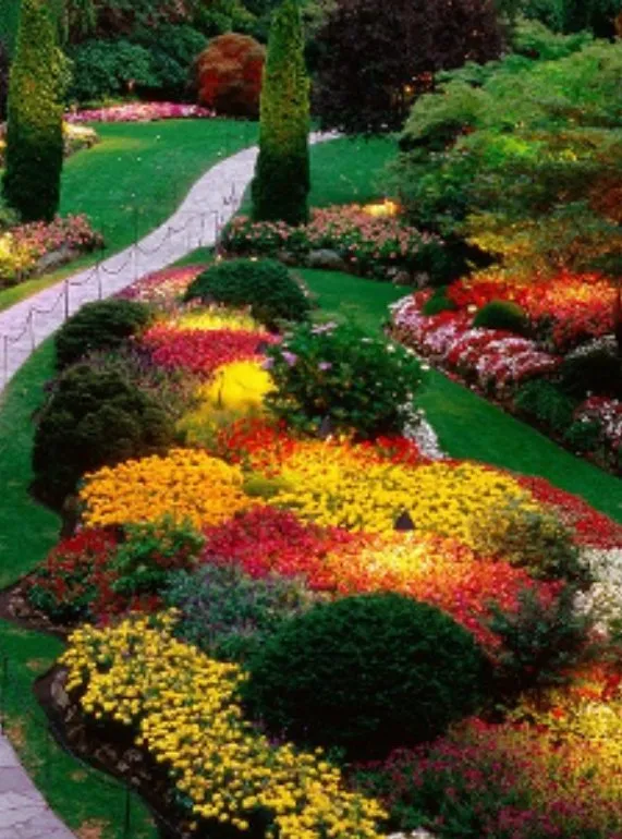 Expert landscape installation in Hayward, CA - Pura Fe Landscaping