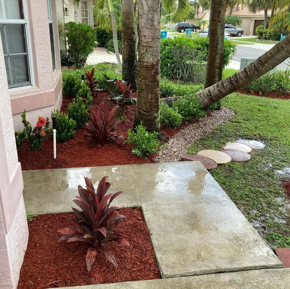 Affordable landscape installation in Jupiter, FL by Pura Vida Landscape