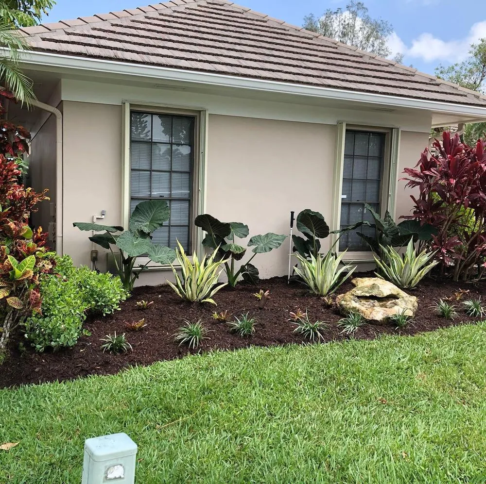 Local yard maintenance in Jupiter, FL by Pura Vida Landscape