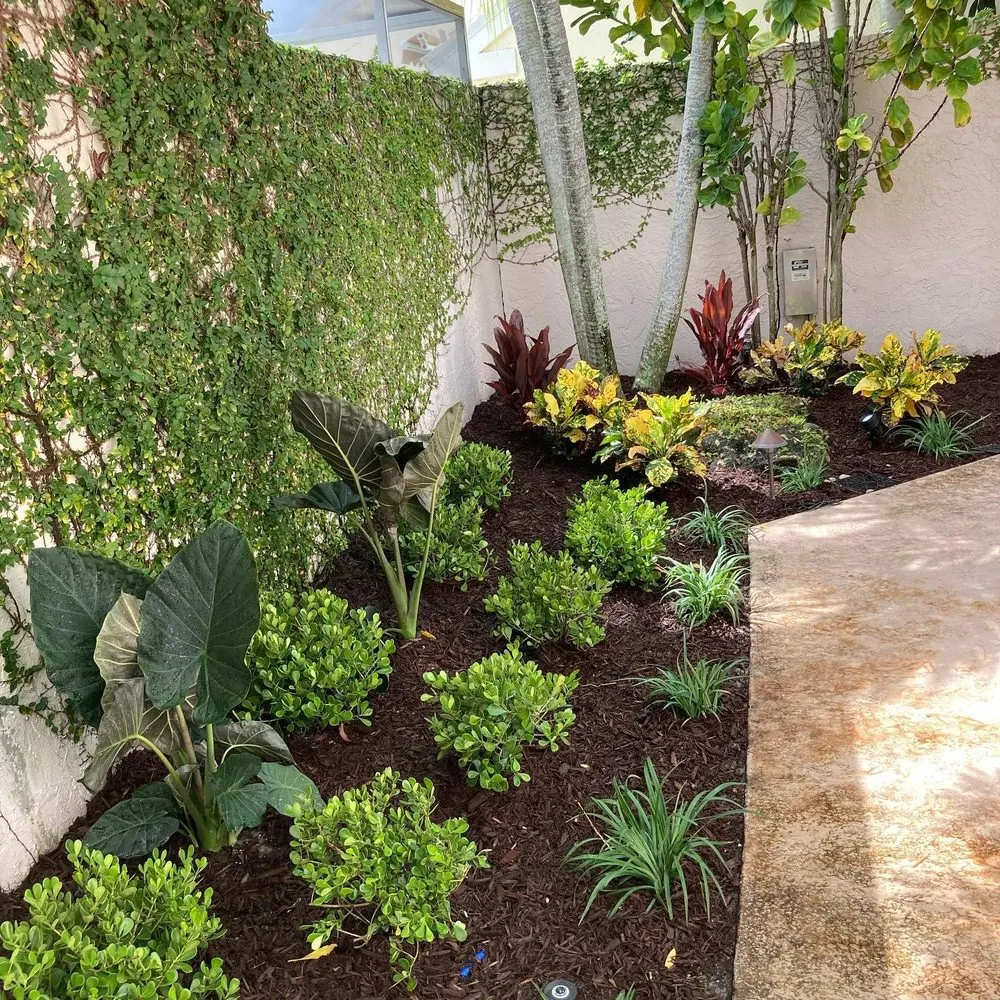 Affordable lawn care service in Jupiter, FL by Pura Vida Landscape
