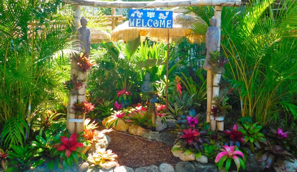 Expert landscape design in Daytona Beach, FL by Pura Vida Tropical Gardens