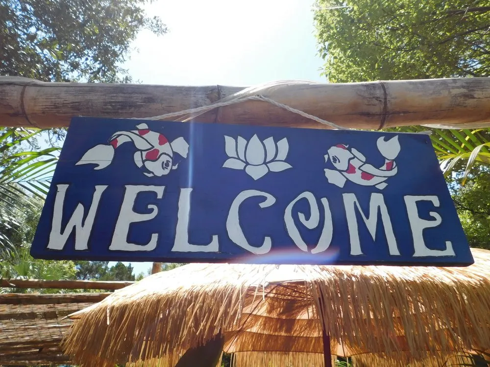 Professional lawn care service in Daytona Beach, FL by Pura Vida Tropical Gardens