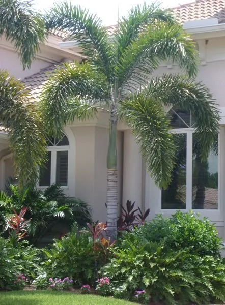 Top-rated garden landscaping experts serving Daytona Beach, FL - Pura Vida Tropical Gardens