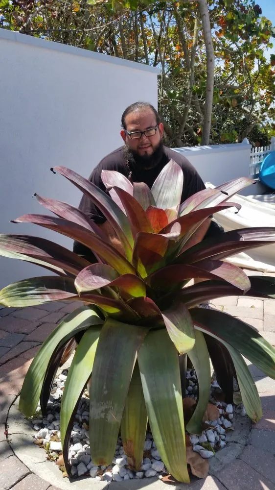 Expert yard maintenance experts serving Daytona Beach, FL - Pura Vida Tropical Gardens