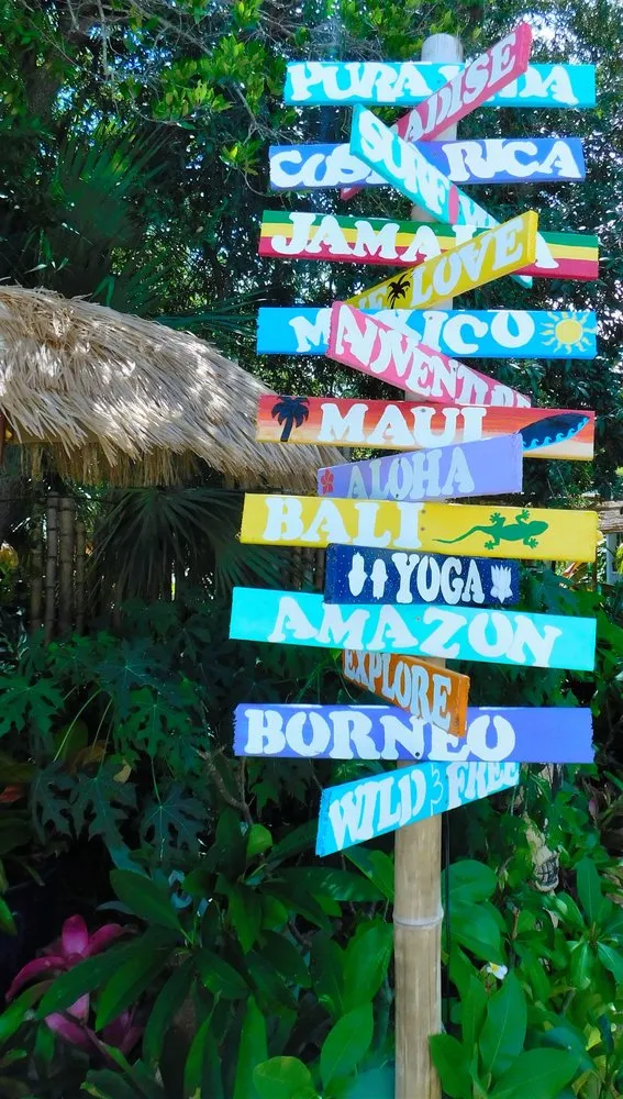 Expert yard maintenance experts serving Daytona Beach, FL - Pura Vida Tropical Gardens