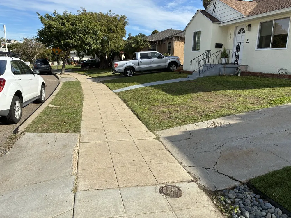 Professional landscape installation with custom design in San Diego, CA by Pura Vista