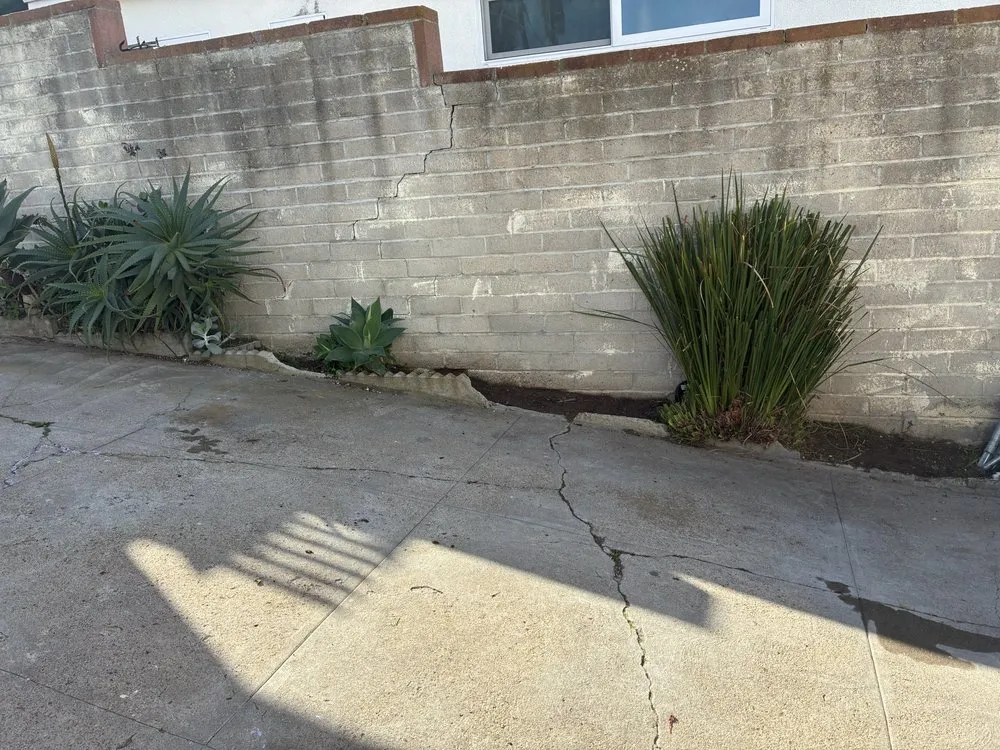 Local lawn care service for year-round maintenance in San Diego, CA by Pura Vista