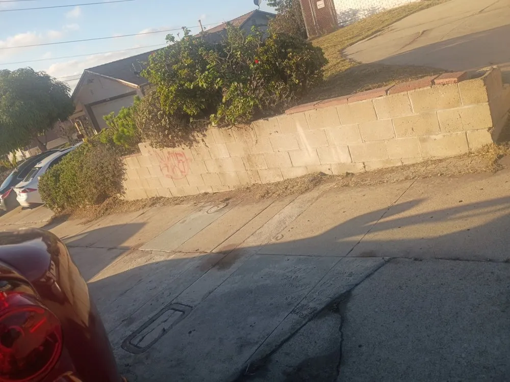 Affordable yard cleanup service for beautiful yards across San Diego, CA - Pura Vista