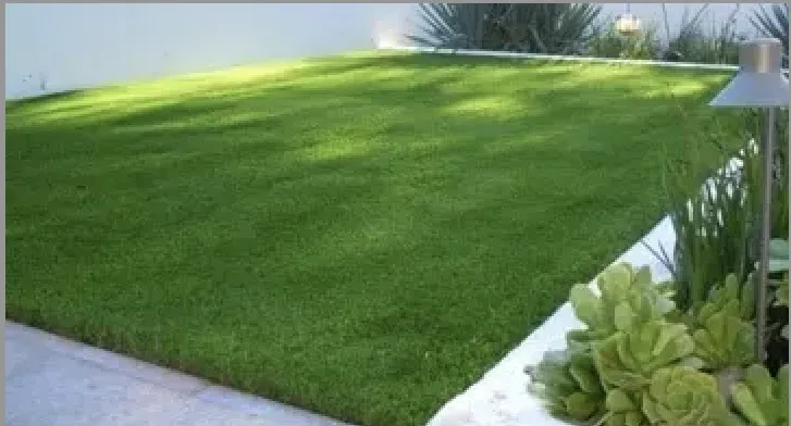 Trusted landscape design for outdoor upgrades in Cartersville, GA by Purchase Green Artificial Grass - Atlanta West