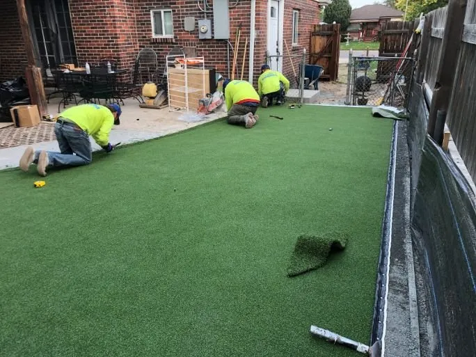 Trusted yard cleanup service experts serving Castle Rock, CO - Purchase Green Artificial Grass - Castle Rock