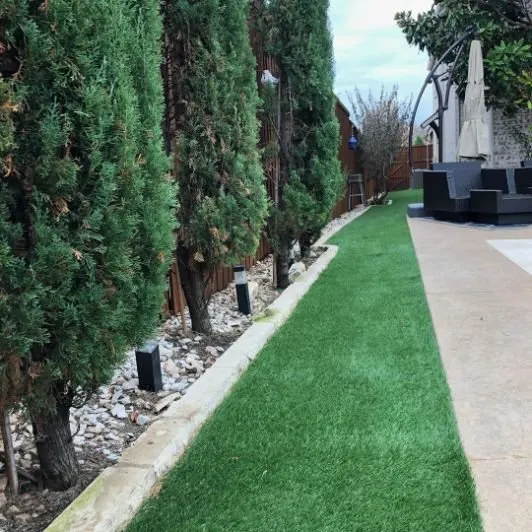 Top-rated yard cleanup service experts serving Castle Rock, CO - Purchase Green Artificial Grass - Castle Rock