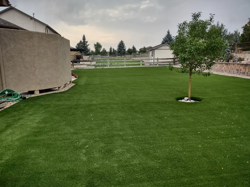 Expert outdoor landscaping for beautiful yards in Castle Rock, CO by Purchase Green Artificial Grass - Castle Rock