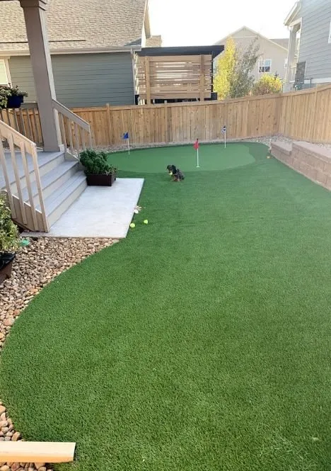 Expert yard cleanup service for beautiful yards in Castle Rock, CO by Purchase Green Artificial Grass - Castle Rock