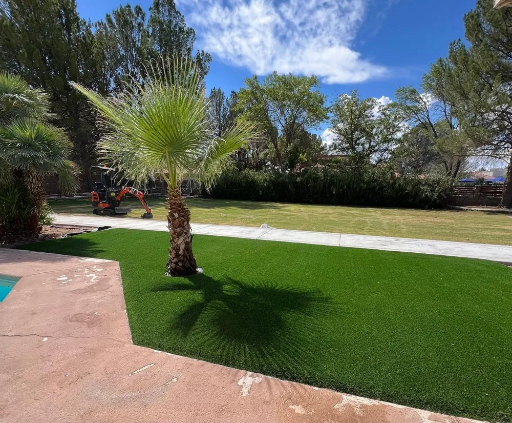 Top-rated landscaping services in El Paso, TX - Purchase Green Artificial Grass - El Paso