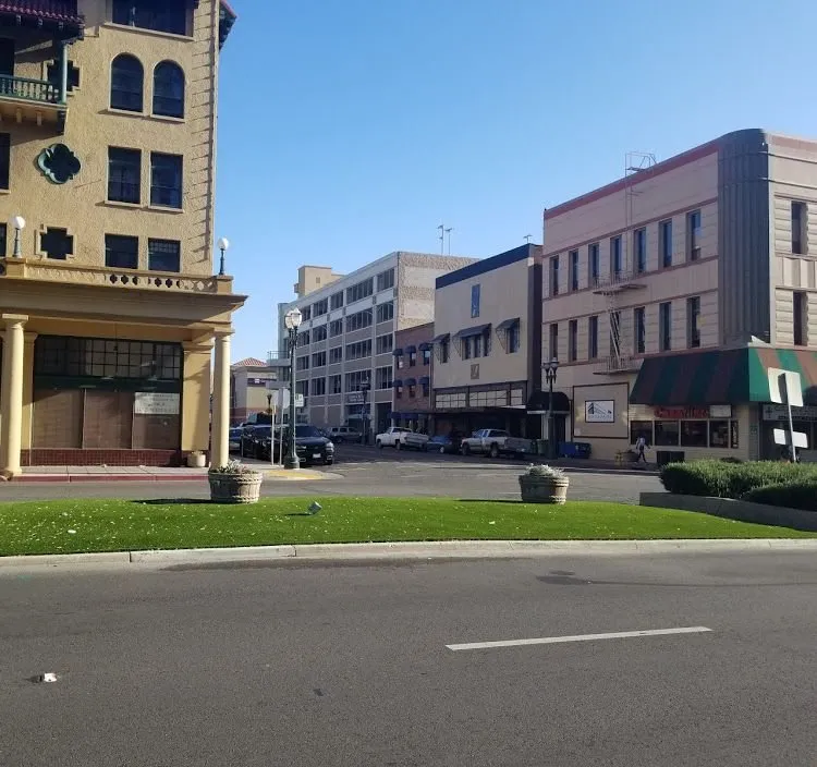 Reliable lawn care service in Manteca, CA - Purchase Green Artificial Grass - Manteca