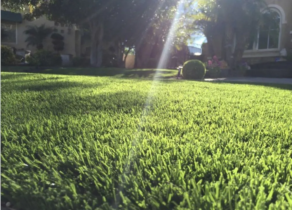 Local lawn mowing service experts serving Salinas, CA - Purchase Green Artificial Grass - Monterey