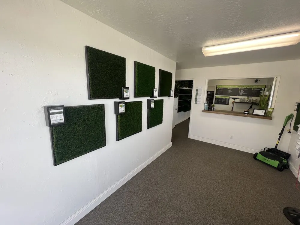 Trusted yard cleanup service experts serving Salinas, CA - Purchase Green Artificial Grass - Monterey