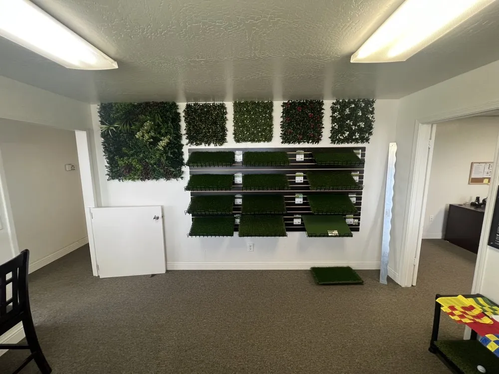 Reliable outdoor landscaping in Salinas, CA - Purchase Green Artificial Grass - Monterey