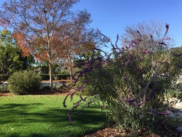 Top-rated landscape installation for residential properties in Grand Terrace, CA by Purchase Green Artificial Grass - Riverside