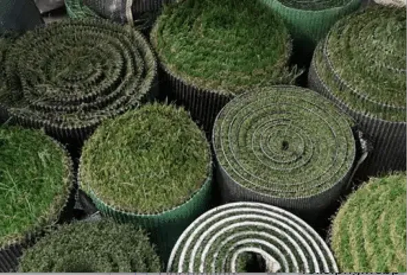 Purchase Green Artificial Grass - Tampa Logo