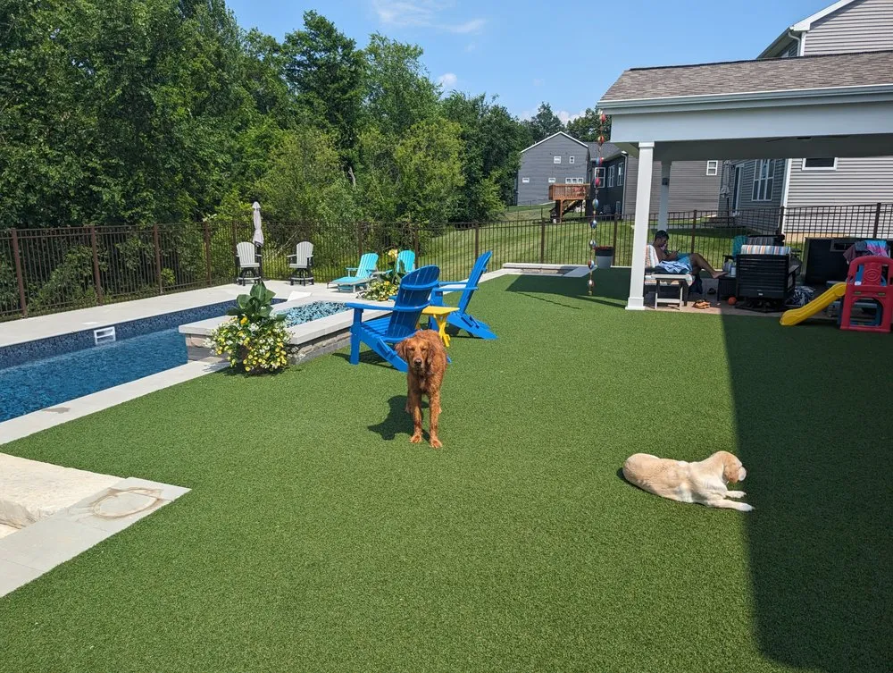 Expert outdoor landscaping for beautiful yards across Lowell, MI - Purchase Green Artificial Grass - West Michigan