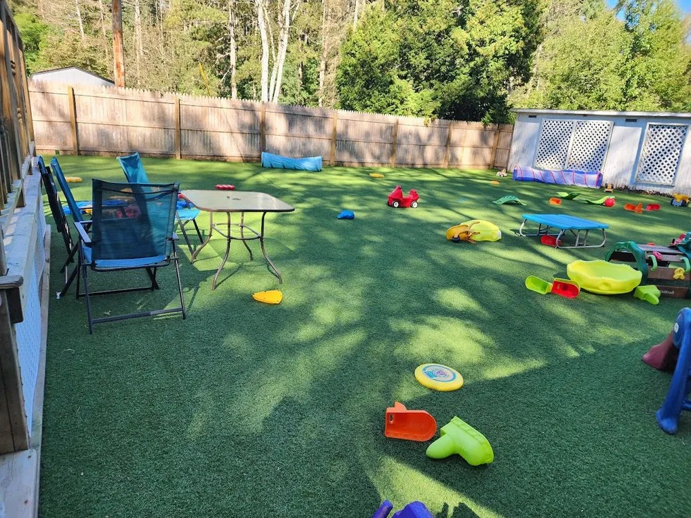 Local yard cleanup service in Lowell, MI by Purchase Green Artificial Grass - West Michigan