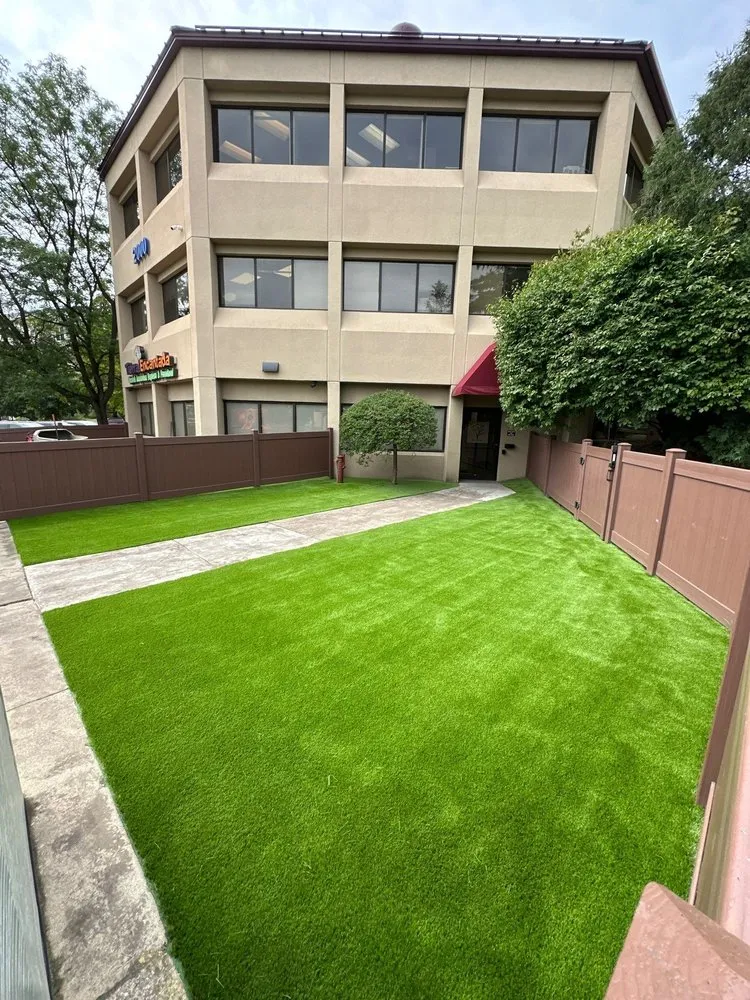 Professional yard cleanup service experts serving Chanhassen, MN - Purchase Green Artificial Grass