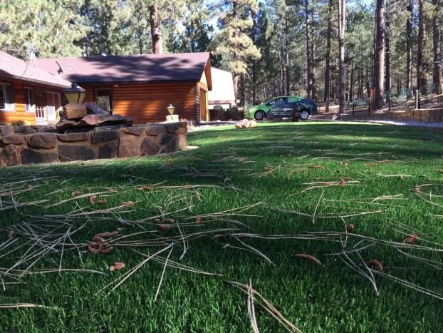 Reliable lawn mowing service in Fresno, CA - Purchase Green Artificial Grass