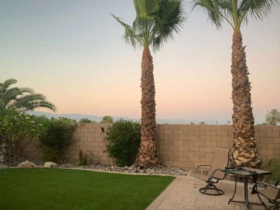 Reliable lawn care service in Palm Desert, CA by Purchase Green Artificial Grass