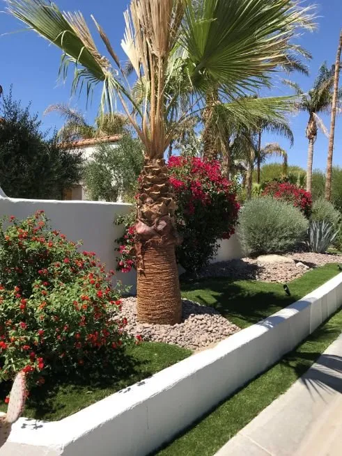 Affordable yard cleanup service with custom design across Palm Desert, CA - Purchase Green Artificial Grass