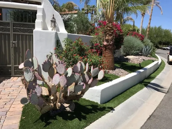 Expert residential landscaping experts serving Palm Desert, CA - Purchase Green Artificial Grass