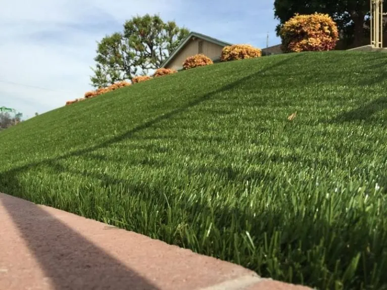 Local landscape installation in Santa Rosa, CA - Purchase Green Artificial Grass