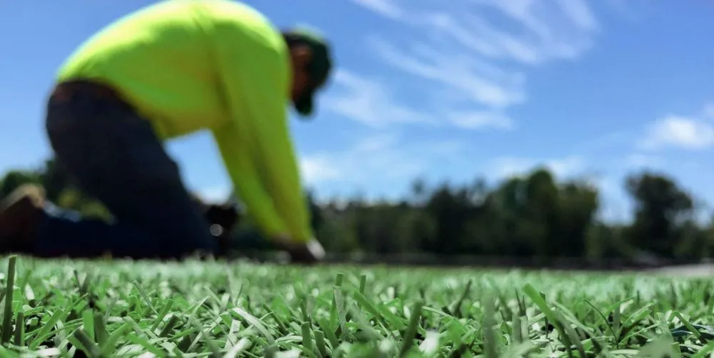 Affordable lawn mowing service in Santa Rosa, CA by Purchase Green Artificial Grass