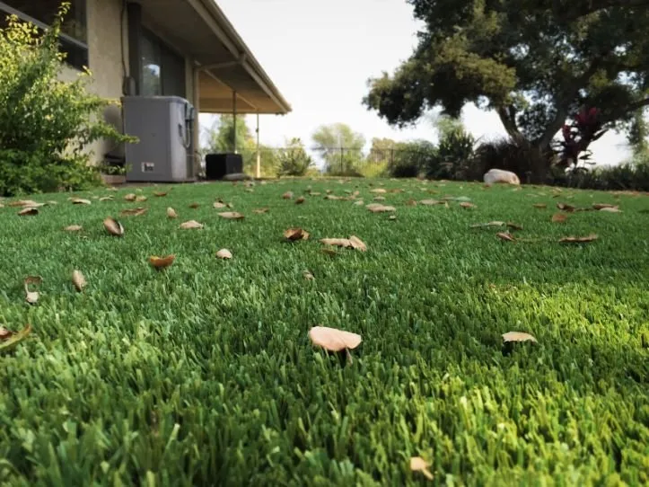 Professional lawn care service for year-round maintenance across Santa Rosa, CA - Purchase Green Artificial Grass