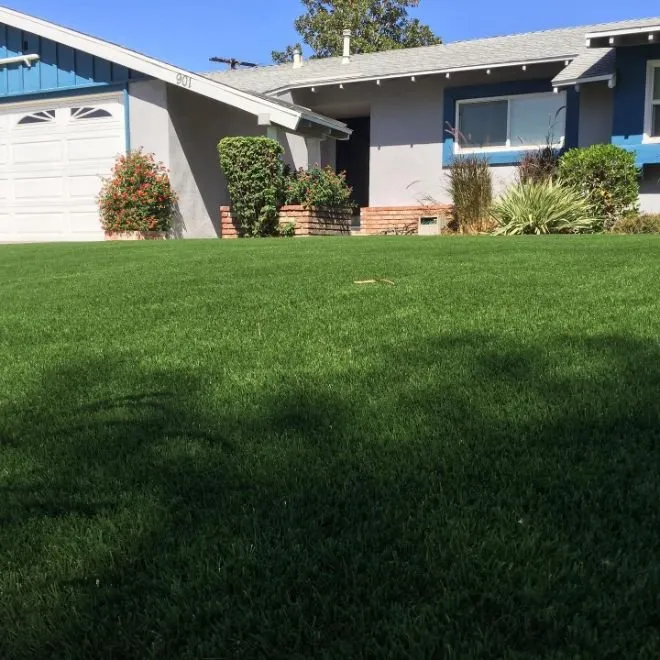 Local lawn care service in Santa Rosa, CA by Purchase Green Artificial Grass